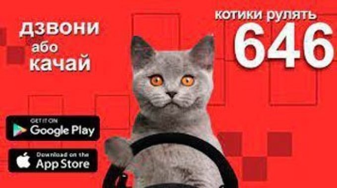 Такси 646 Кременчуг