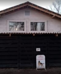 Ветеринарная клиника доктора Ермолаева