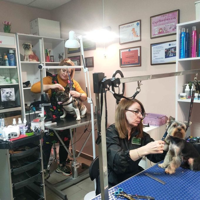 Грумінг салон 