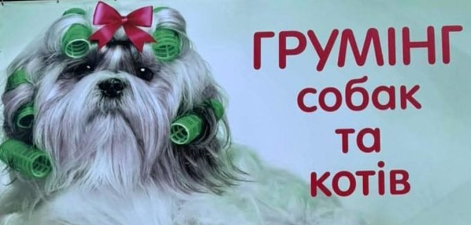 Грумінг салон 