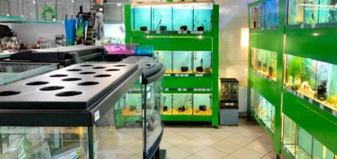 Зоомагазин Мадагаскар ZOO на Молодежном