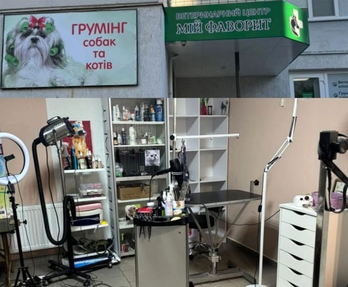 Цілодобова ветеринарна клініка 