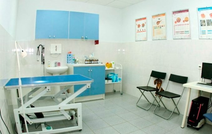 Ветеринарна клініка Котик