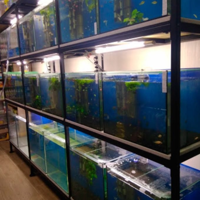 Зоомаркет АКВАмания