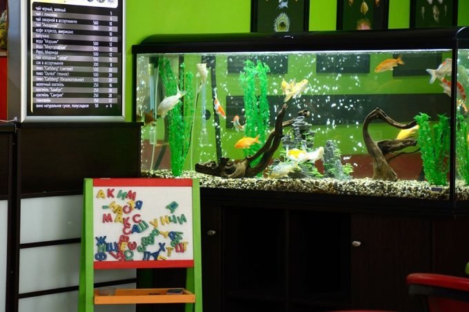 Суші-кафе Акваріум, доставка їжі