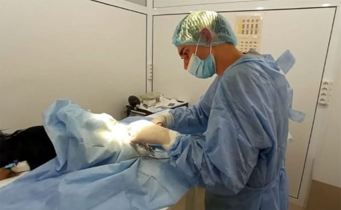 Цілодобова ветеринарна клініка 