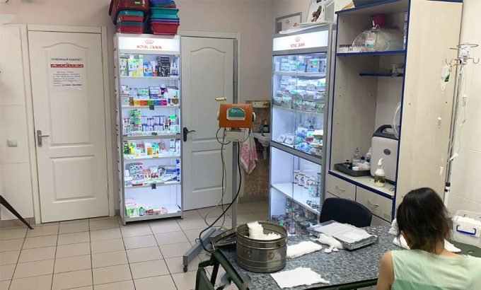 Цілодобова ветеринарна лікарня Ковчег