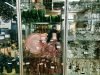 Магазин канцтоварів Принцип