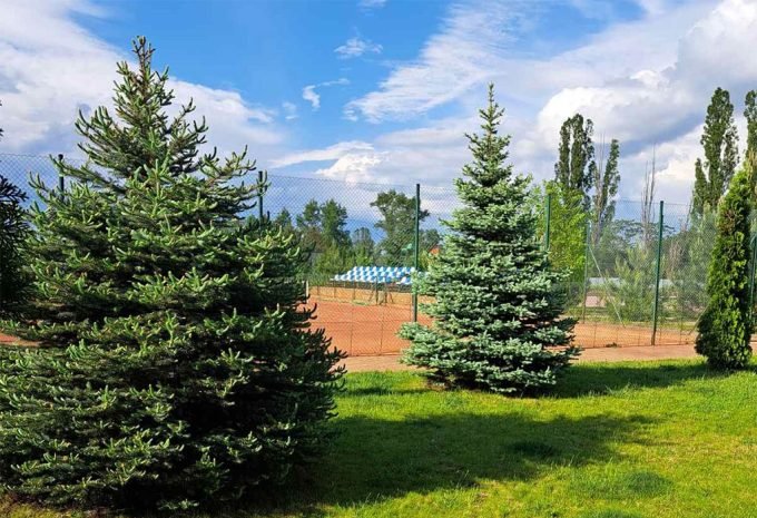 Тенісний клуб Прем'єр