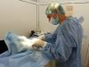 Ветеринарна клініка VetCare