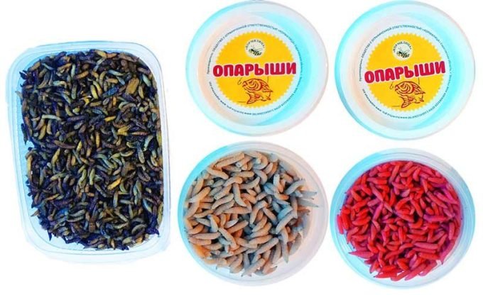 Опариш цілодобово